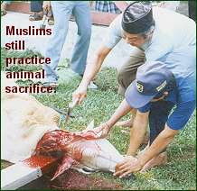 Muslims still sacrifice animals.