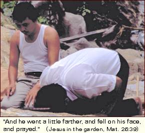 He fell on his face and prayed.