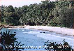 Phuket Beach Picture